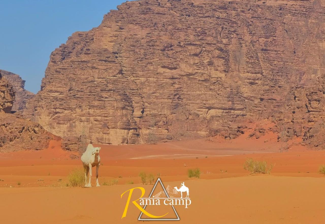 Wadi Rum,Rania Camp Exterior foto